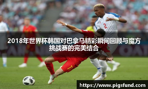 乐盈VI首页