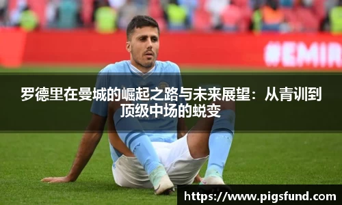 乐盈VI官网