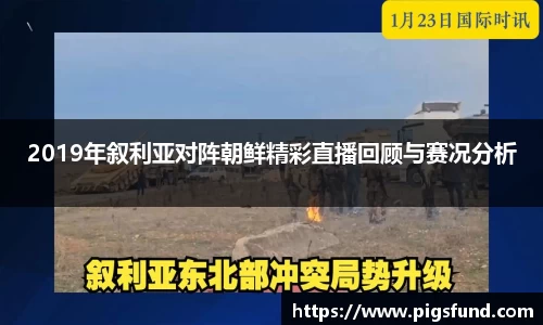 乐盈VI官网