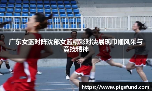乐盈VI官网