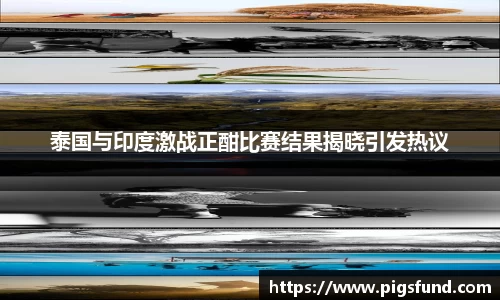 乐盈VI官网登录入口
