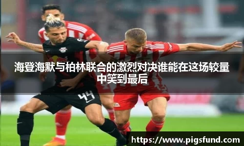 乐盈VI