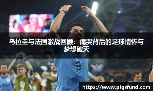 乐盈VI首页