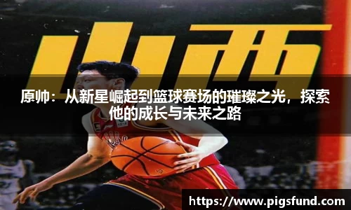 乐盈VI官网