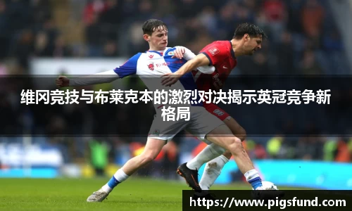 乐盈VI官网