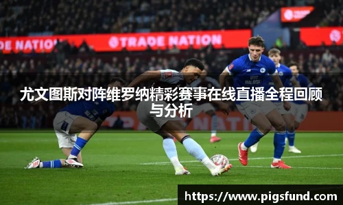 乐盈VI