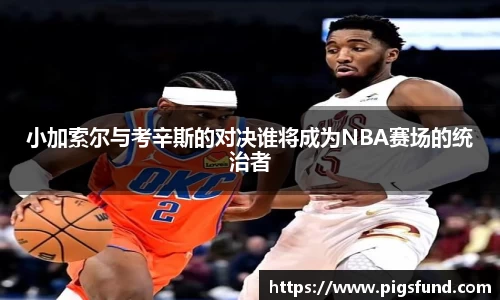 乐盈VI